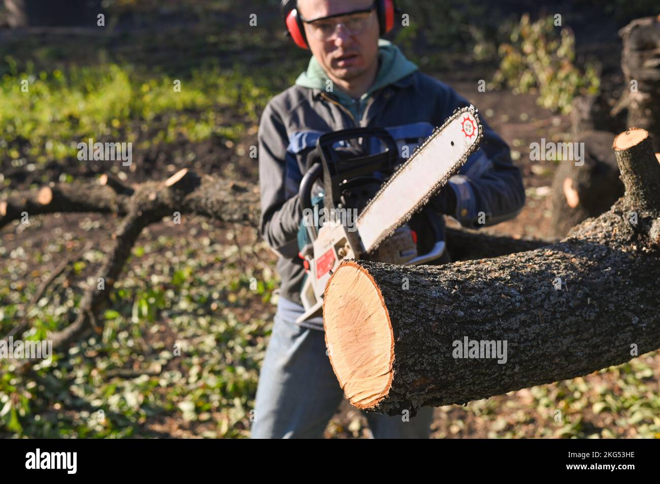 Man chainsaw sawdust fly hi-res stock photography and images - Alamy