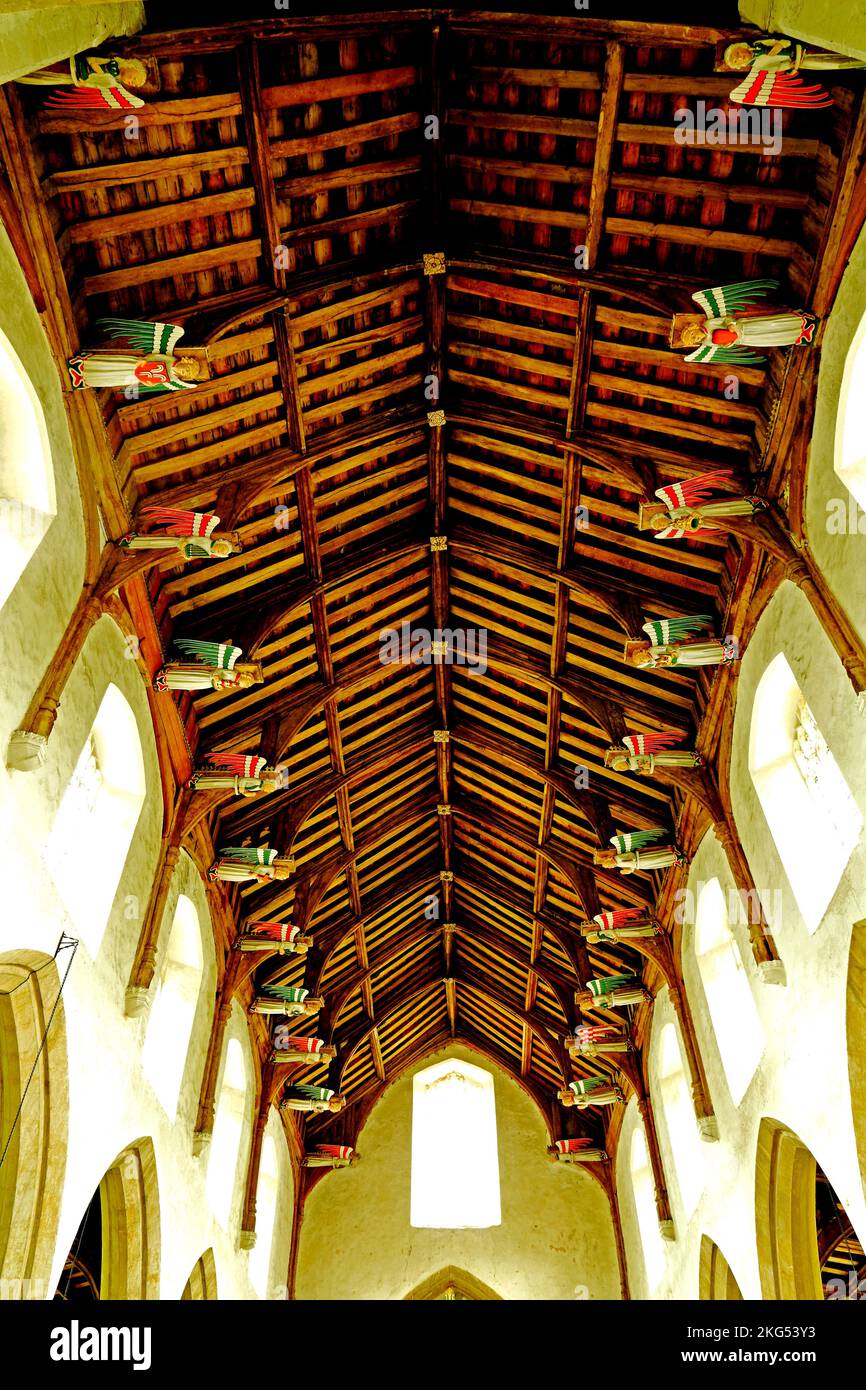 South Creake, 15th hammerbeam roof, angels, carvings, Norfolk, England, UK Stock Photo