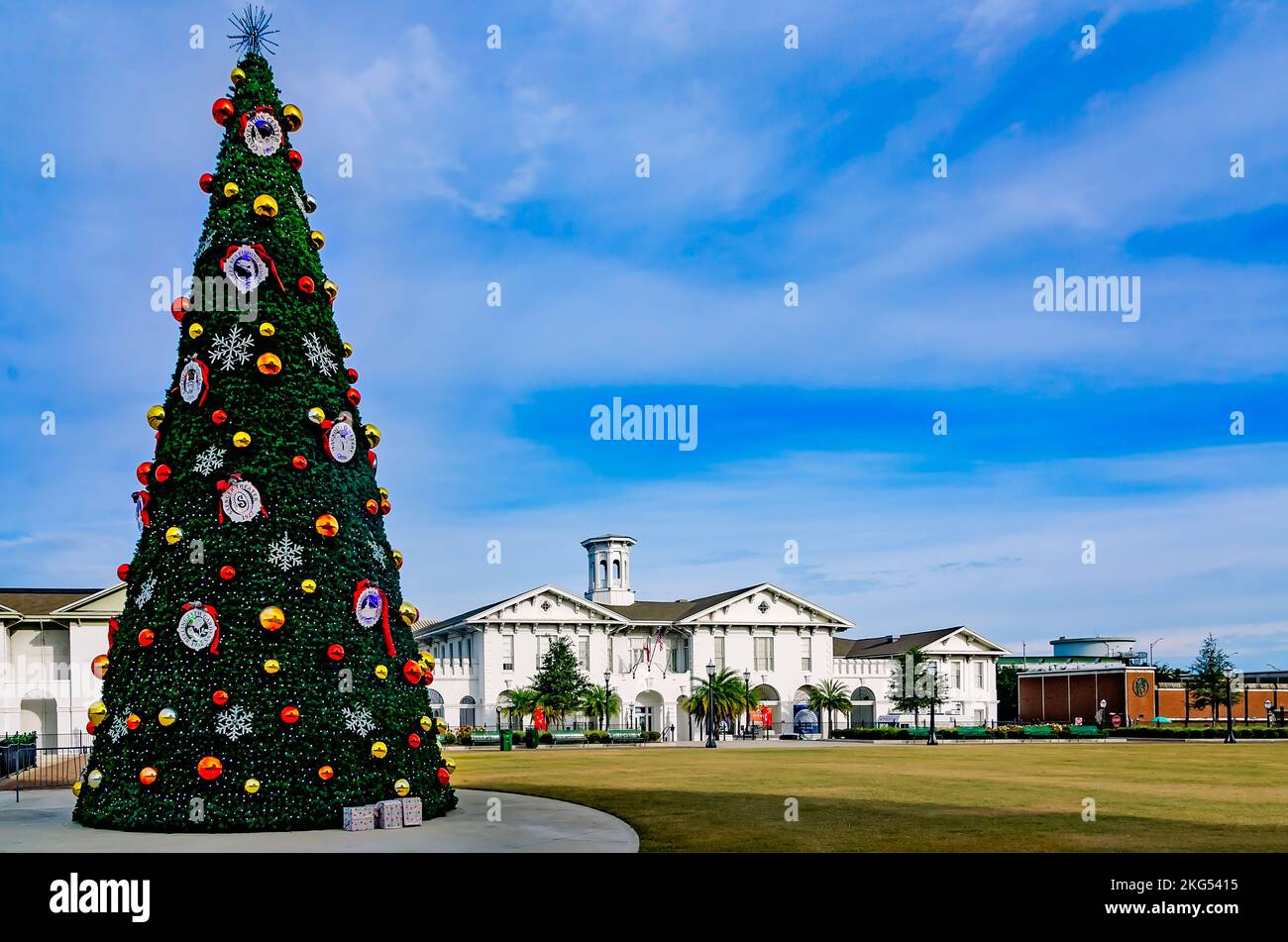 The city Christmas tree is displayed at Mardi Gras Park, Nov. 20, 2022, in Mobile, Alabama. In the background is the History Museum of Mobile. Stock Photo