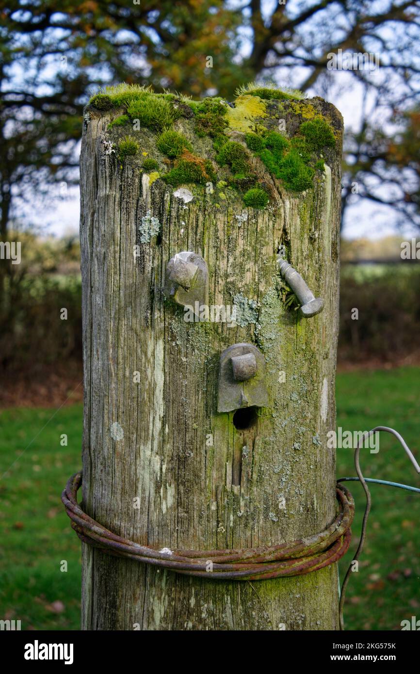 This old fence post is looking rather sad Stock Photo
