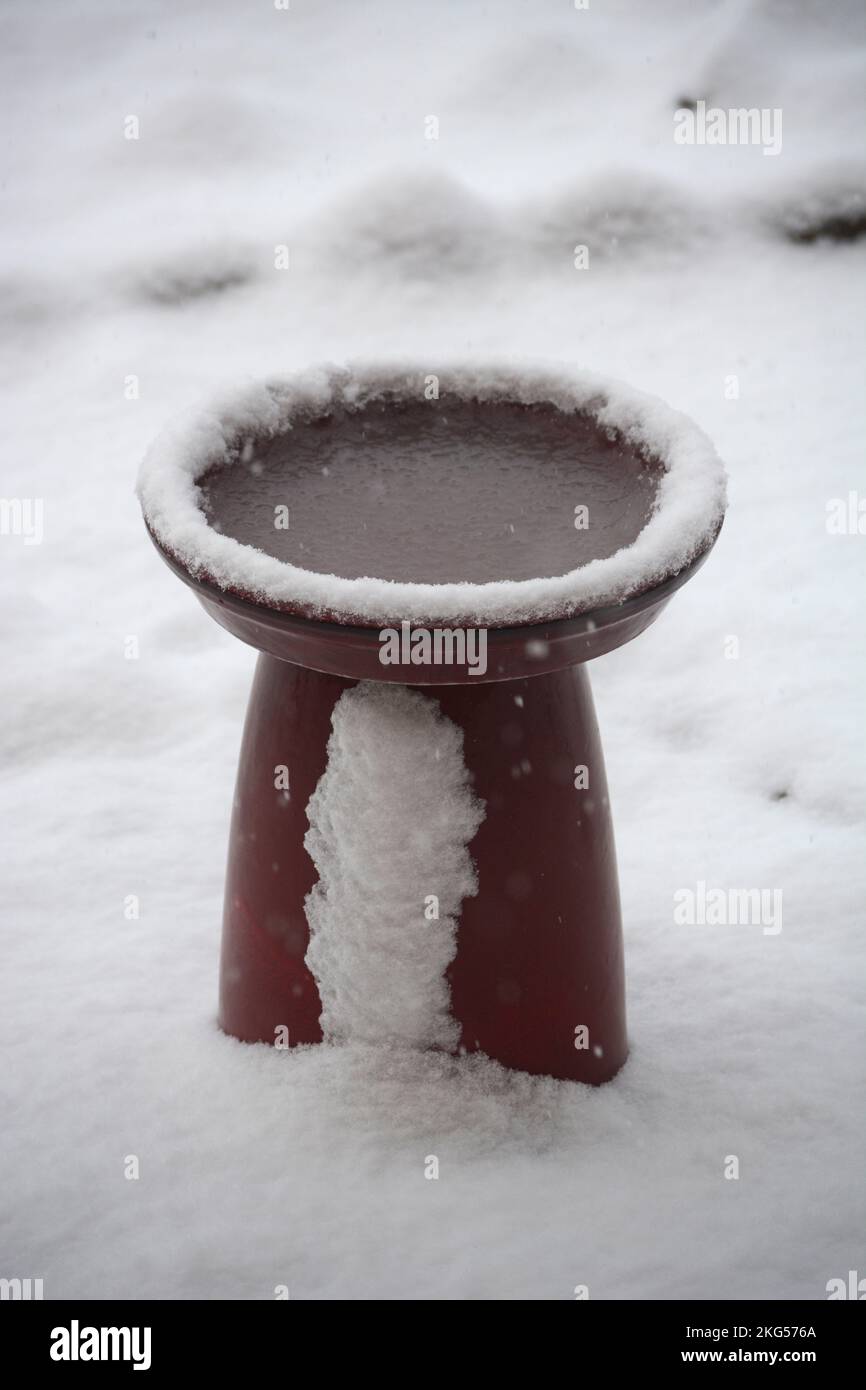 A backyard bird bath after a winter snowfall in Santa Fe, New Mexico