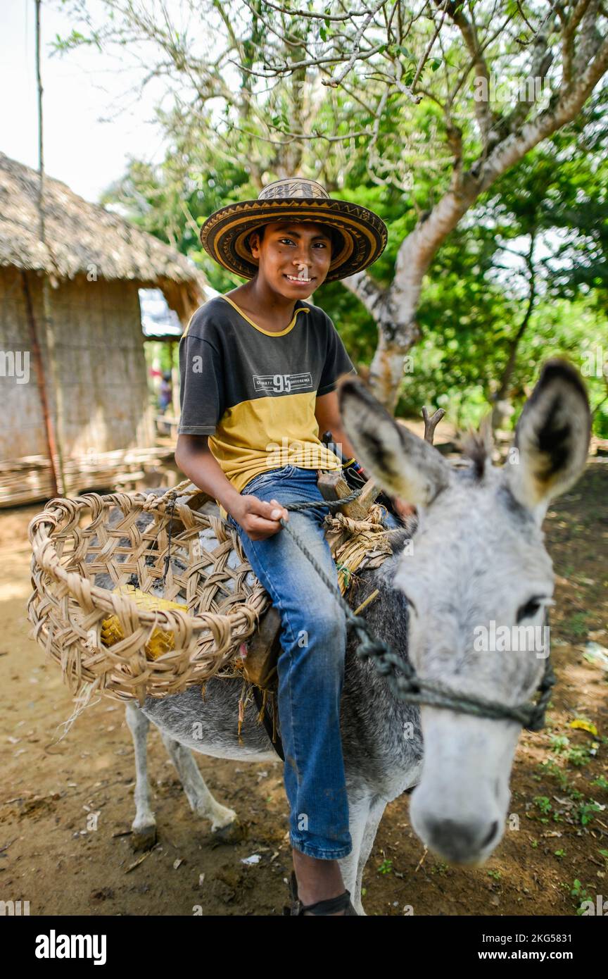 Zenu indigenous teen on a donkey Stock Photo