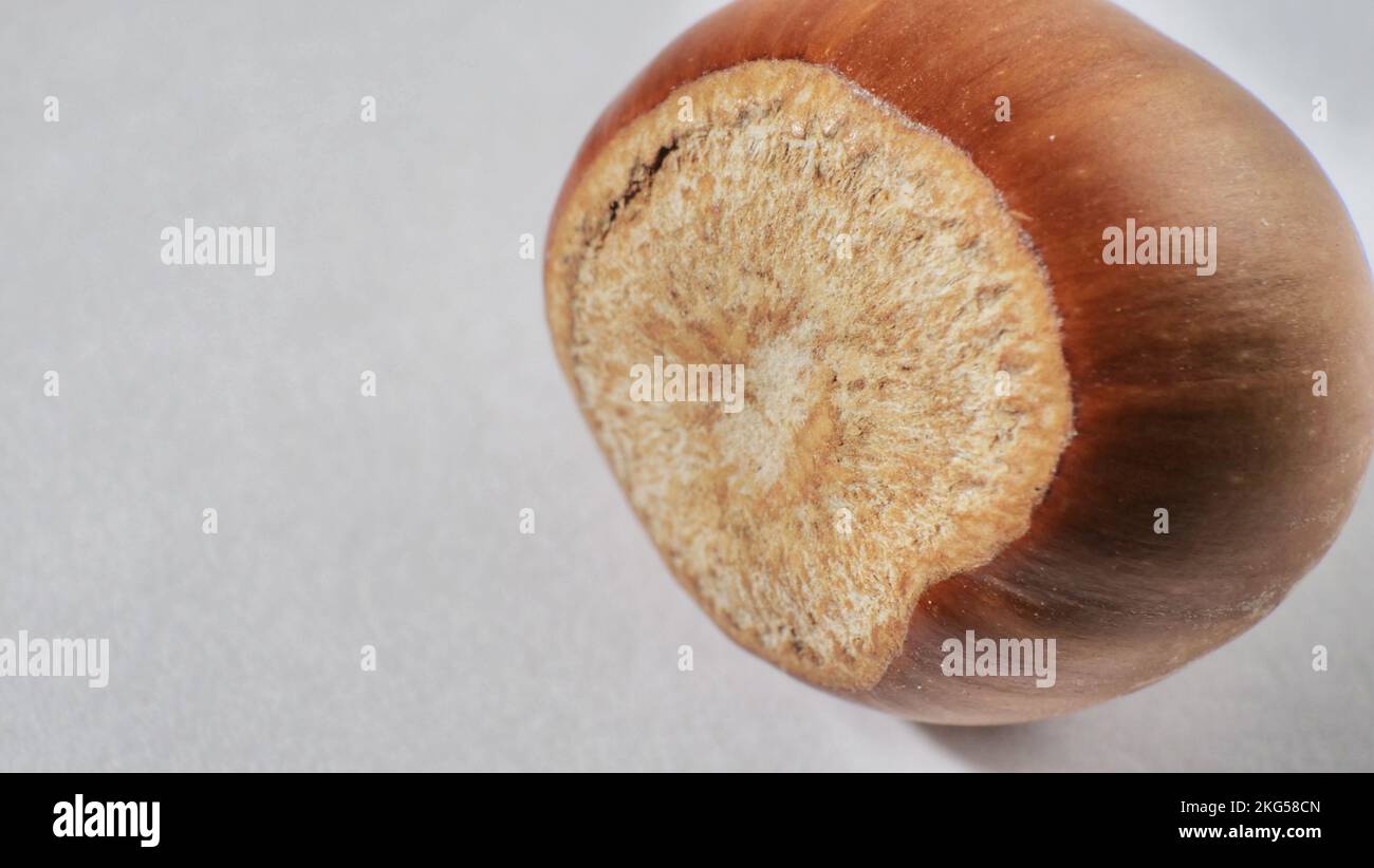 Hazelnuts isolated on white background with clipping path Stock Photo