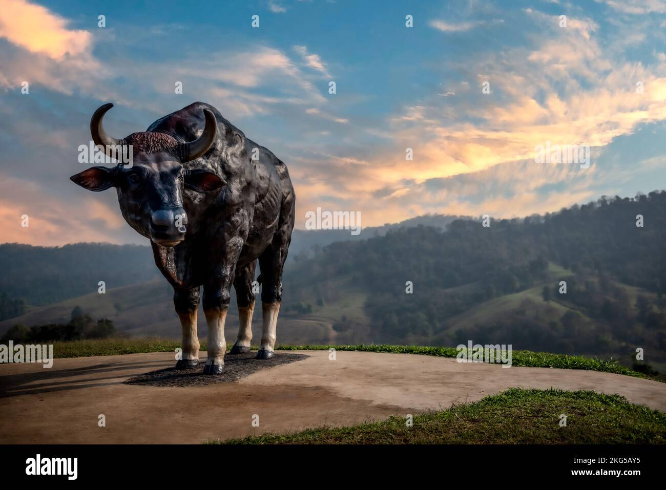 A bison statue at a hilltop overlooking the sunset at the Khao Pang Ma
