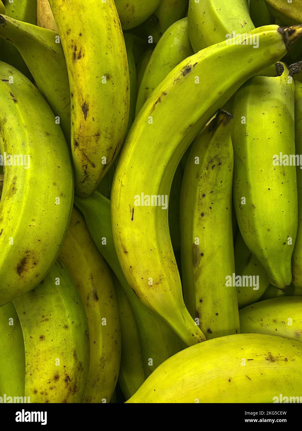 plantain or green banana, harvest plantain, background, farmer market