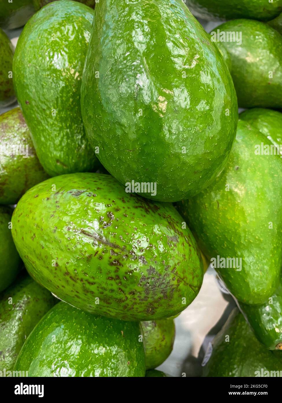 Avocado are very nutritious, contains variety of nutrients, green