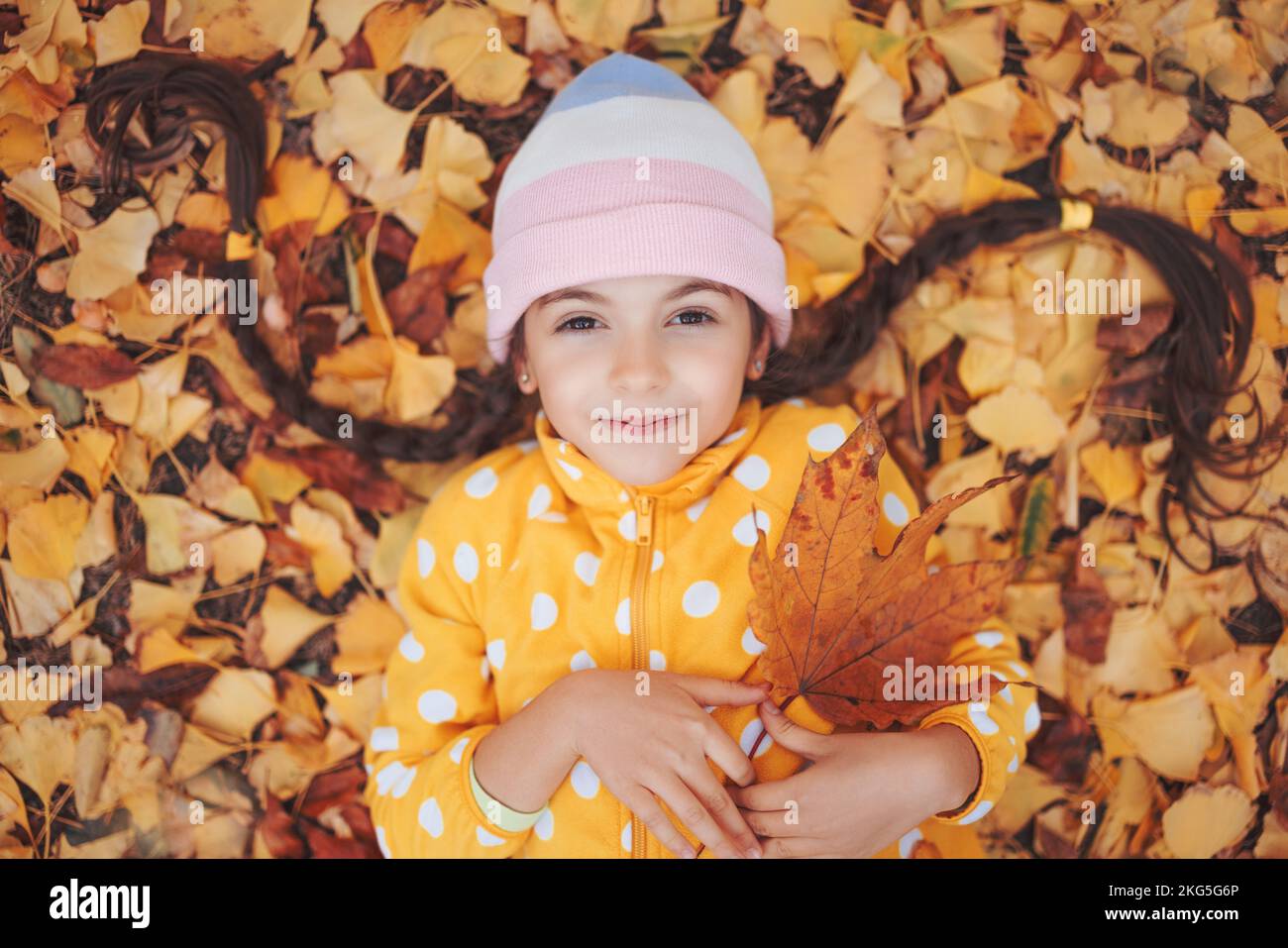 Beautiful little girl playing in fallen colourful autumn leaves in a park. Ginkgo biloba tree. Stock Photo