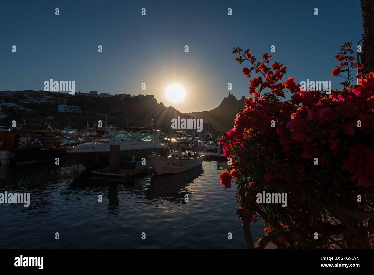 Sunset Marina Bahia San Carlos Mexico Stock Photo - Alamy