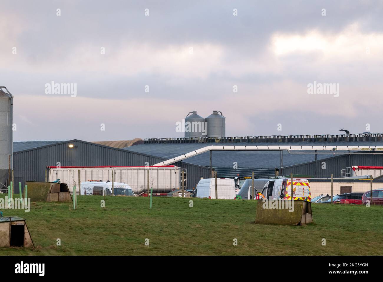 Banff, Aberdeenshire, UK. 21st Nov, 2022. This is the Farm, Strath of Brydock Poultry Farm where Security are ensuring Safety Zone is maintained and First Intervention Team - https://firstinterventionteam.co.uk/ are handling the situation. Credit: JASPERIMAGE/Alamy Live News Stock Photo