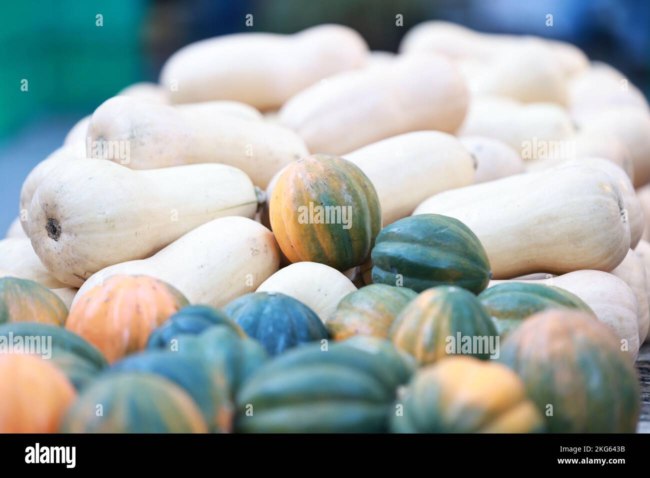 Squash and pumpkins on display at a the Union Square in New York, New York, Wednesday, Nov. 9
