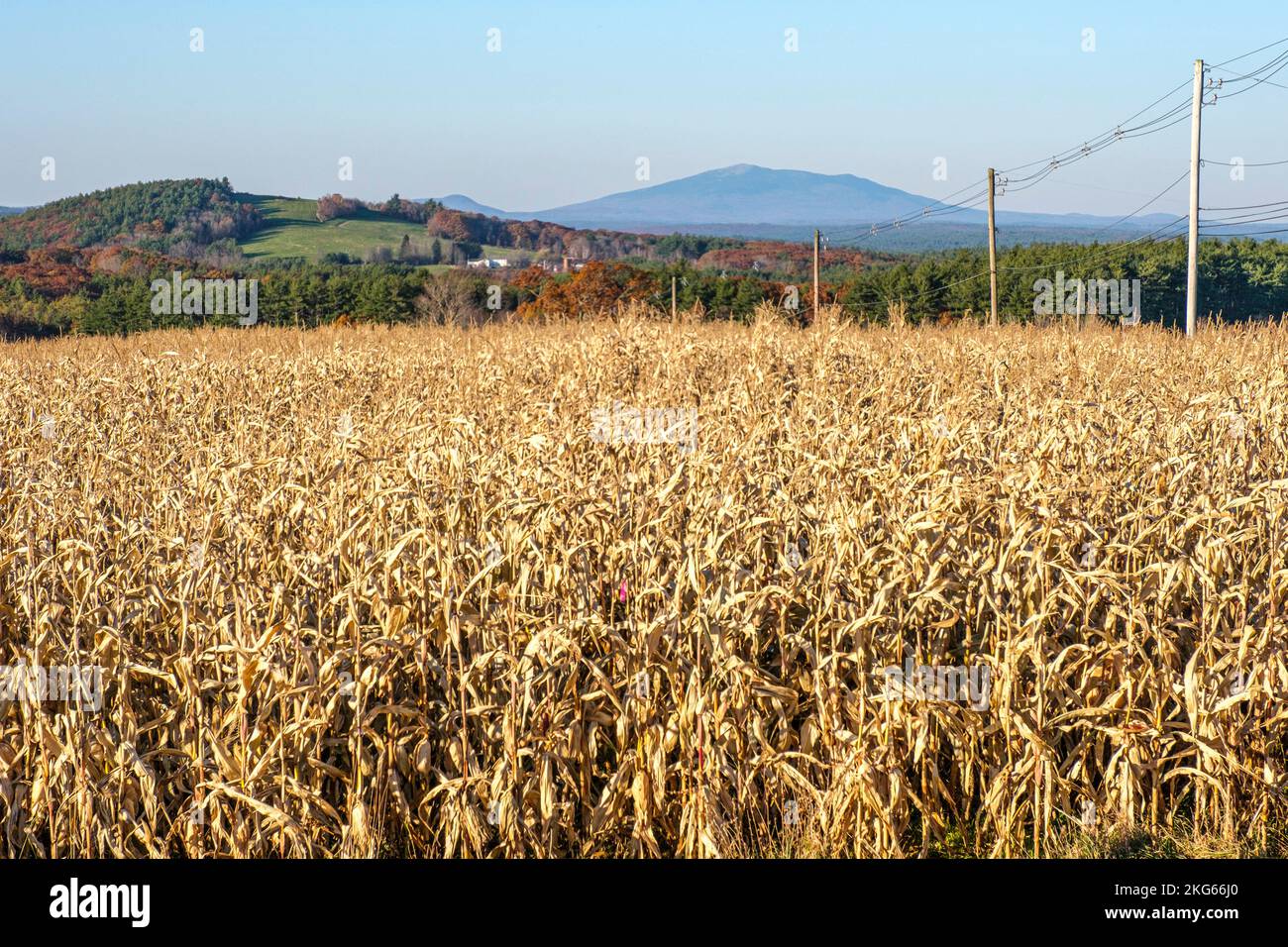 A view of Mount Monadnock from a field at the top of a hill in Templeton, MA Stock Photo