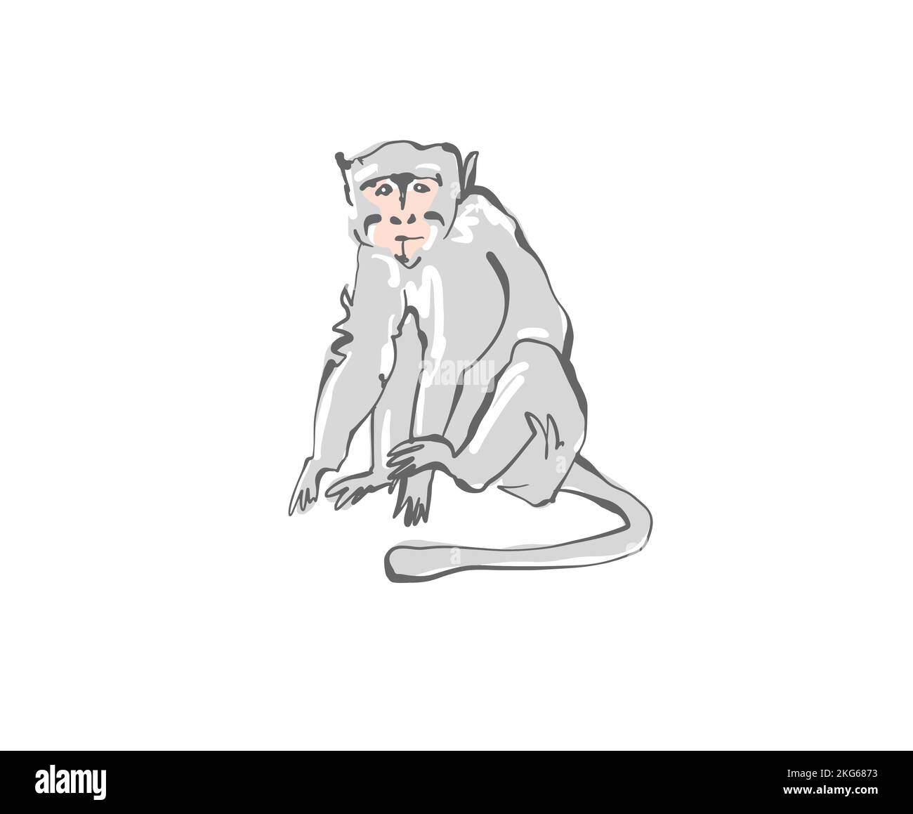 Bali gray monkey in flat style, vector illustration Stock Vector