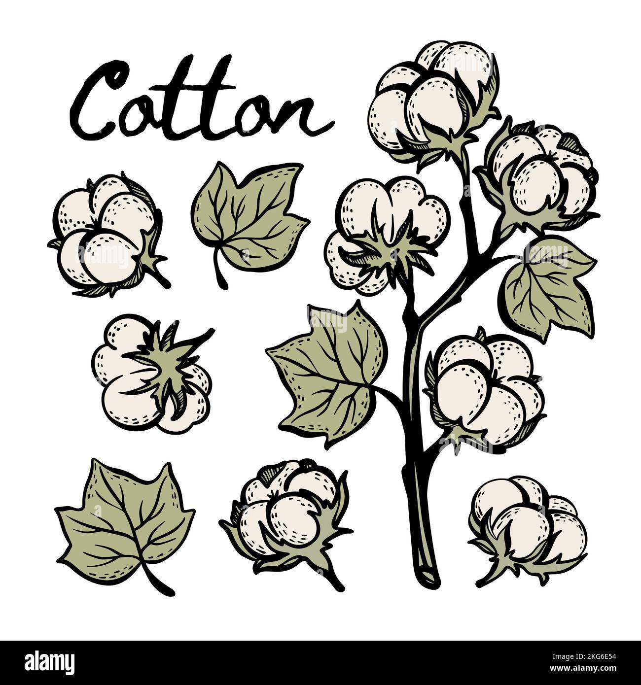 cotton icon vector Stock Vector