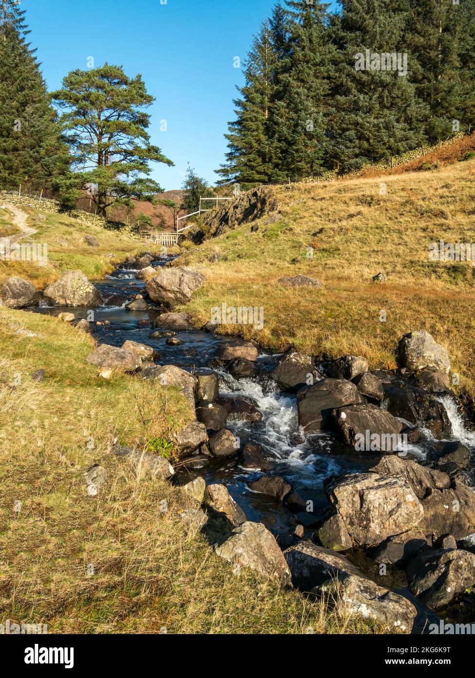 The tumbling Bleamoss Beck mountain stream flows out of Blea Tarn and down into Little Langdale in the English Lake District, Cumbria, England, UK Stock Photo