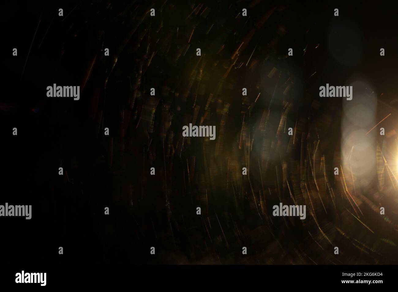 Cobwebs in sunlight. Web in woods. Spider house. Details of nature ...