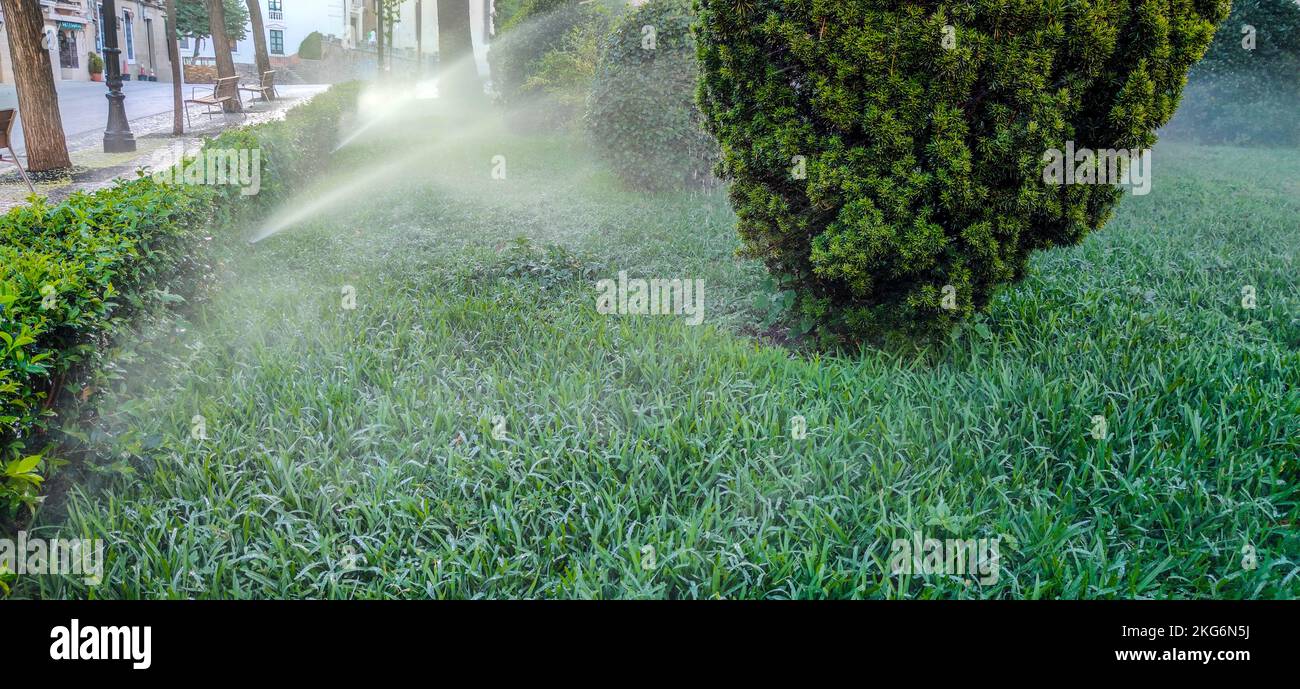 Sprinklers watering an urban public park. Summer morning time Stock Photo