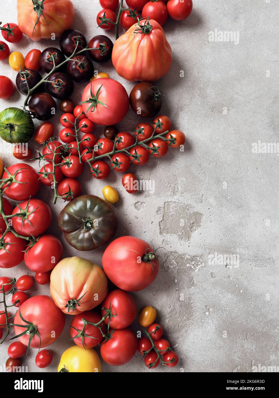 Still life variety of tomatoes on gray background Stock Photo - Alamy