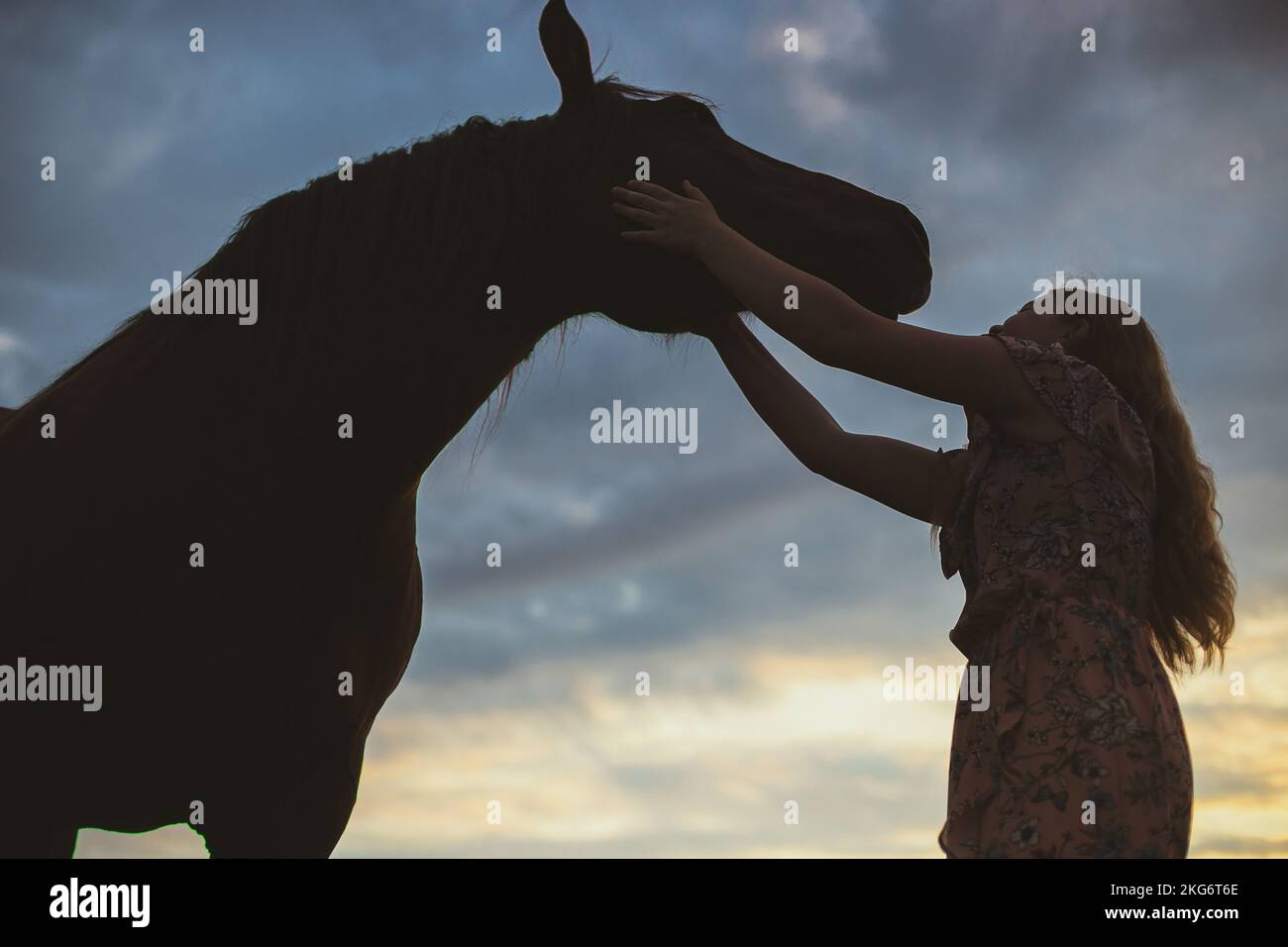 Woman caressing horse scenic photography Stock Photo