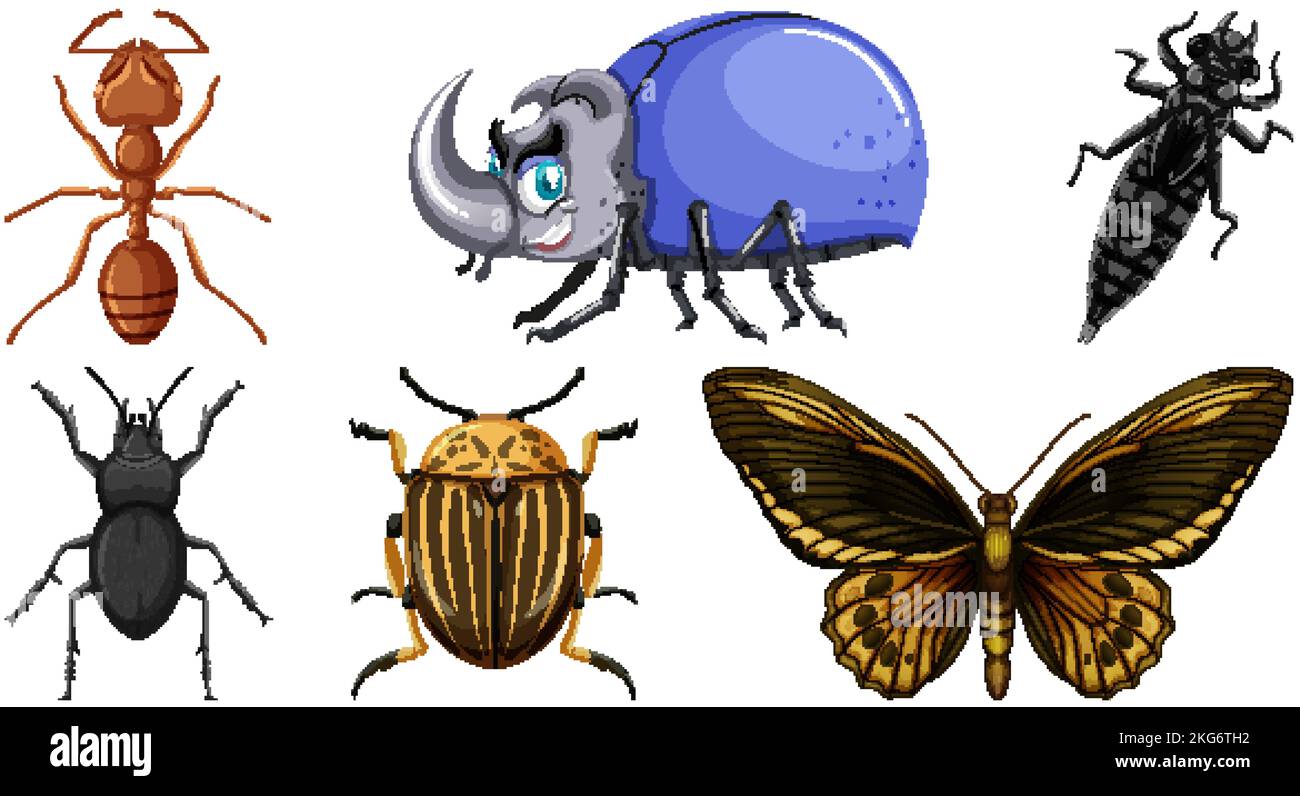 Set of different kinds of insects illustration Stock Vector Image & Art