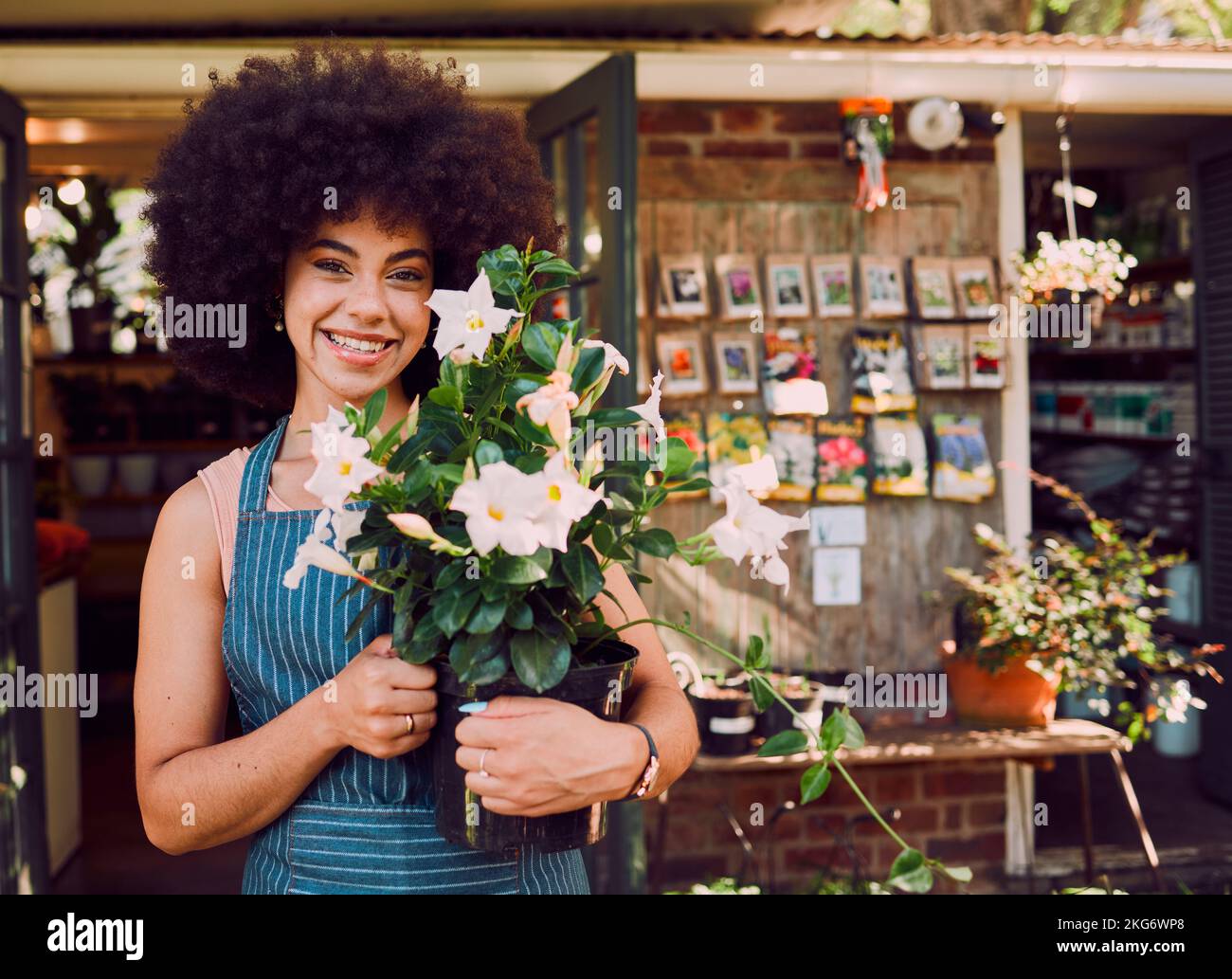 Flowers, small business and black woman in portrait for store, seller and supplier success, growth and natural plants. Floral, sustainable and green Stock Photo