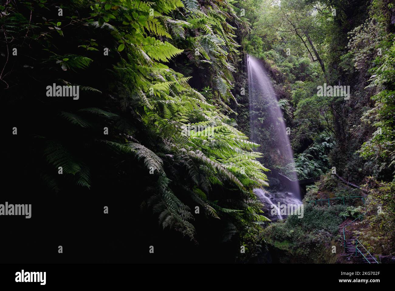 Waterfall and ferns at the end of the narrow canyon in La Palma Island Stock Photo