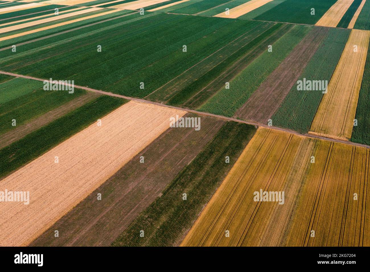 Abstract agricultural background, beautiful colorful patchwork pattern of cultivated fields from drone pov Stock Photo