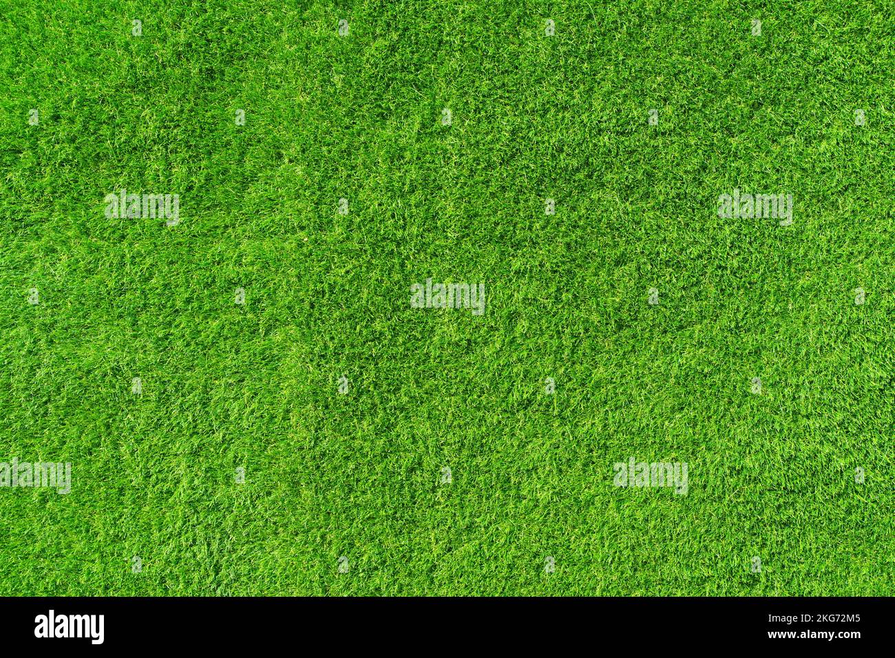 Lawn background. Green grass surface. Sport, decor, nature concept. High quality photo Stock Photo