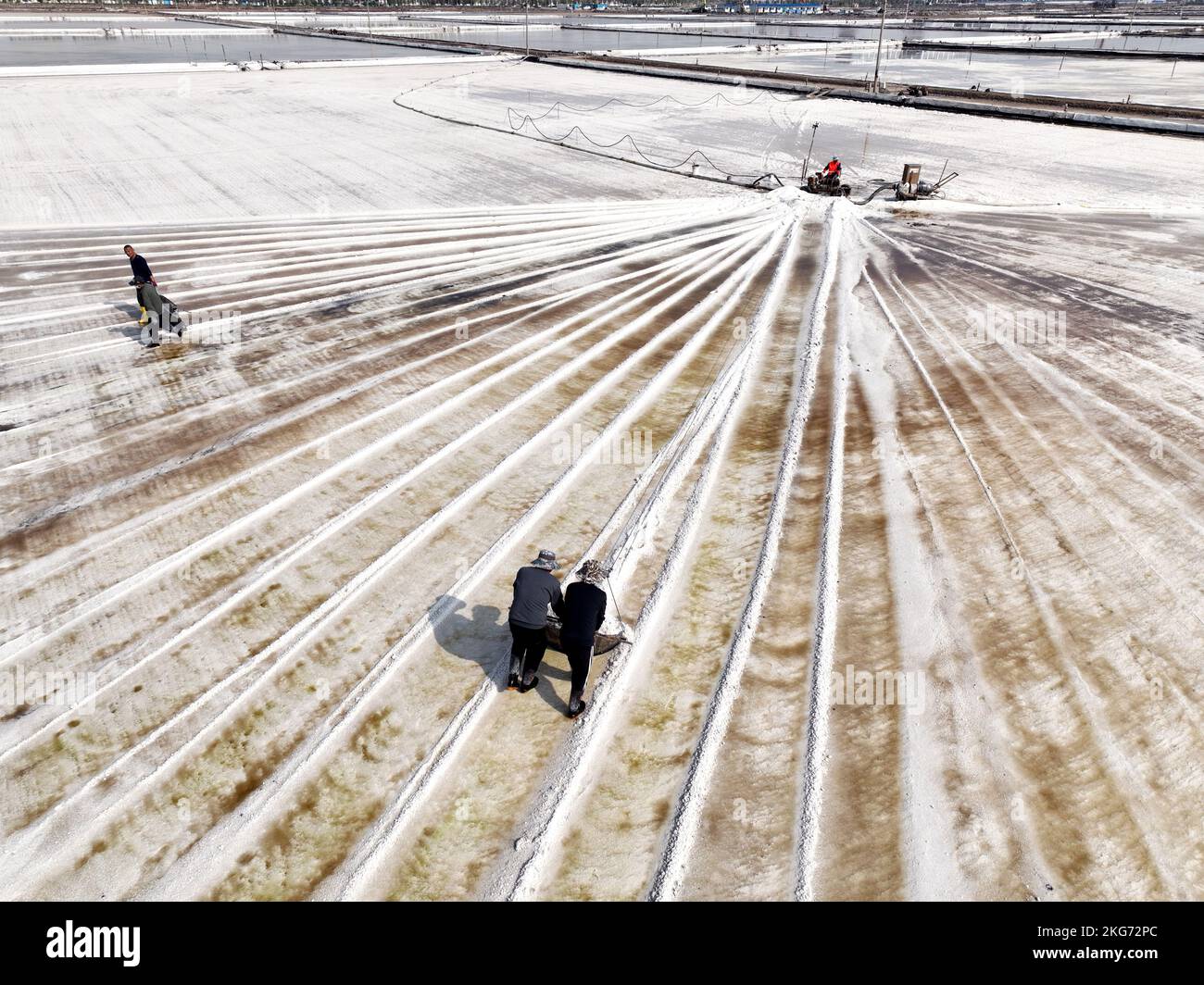 Aerial photo shows workers are busy raking salt in the sunny autumn ...