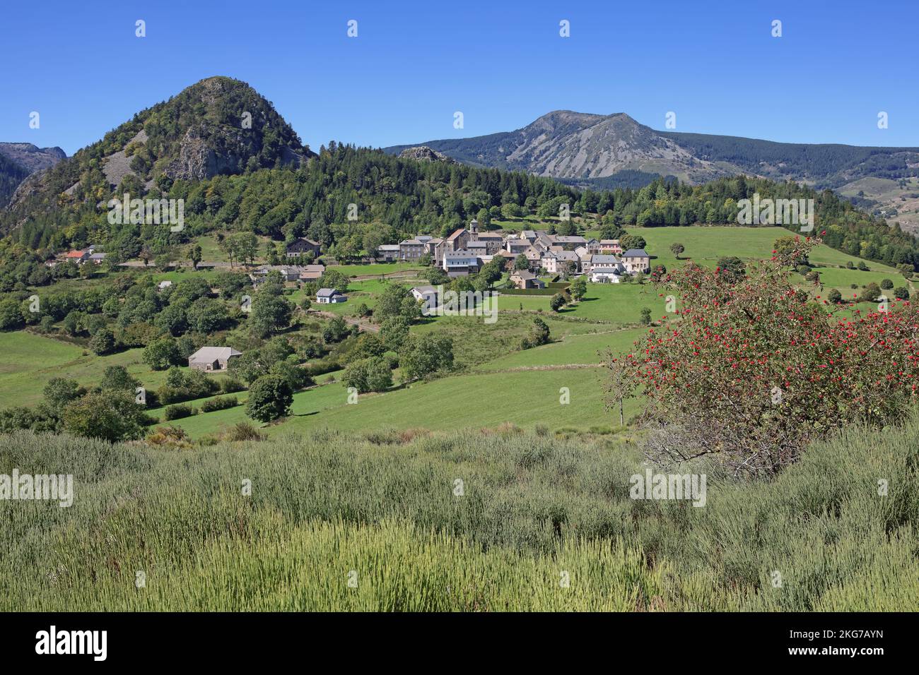 Roche boree hi-res stock photography and images - Alamy