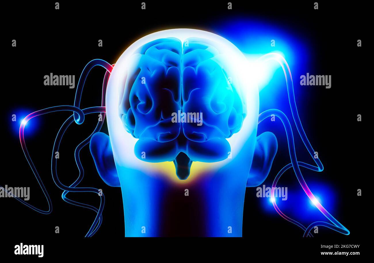 Artificial intelligence, stimuli and instructions imparted to the brain by an external intelligence. Human head seen from the back, neurons Stock Photo