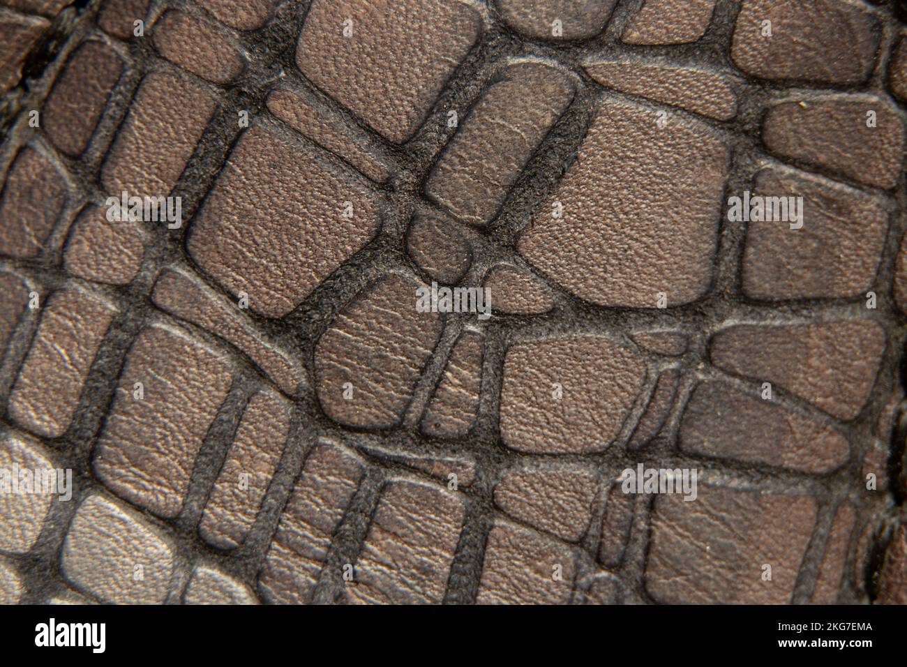 embossed python skin of gray burgundy color as a background, leather ...