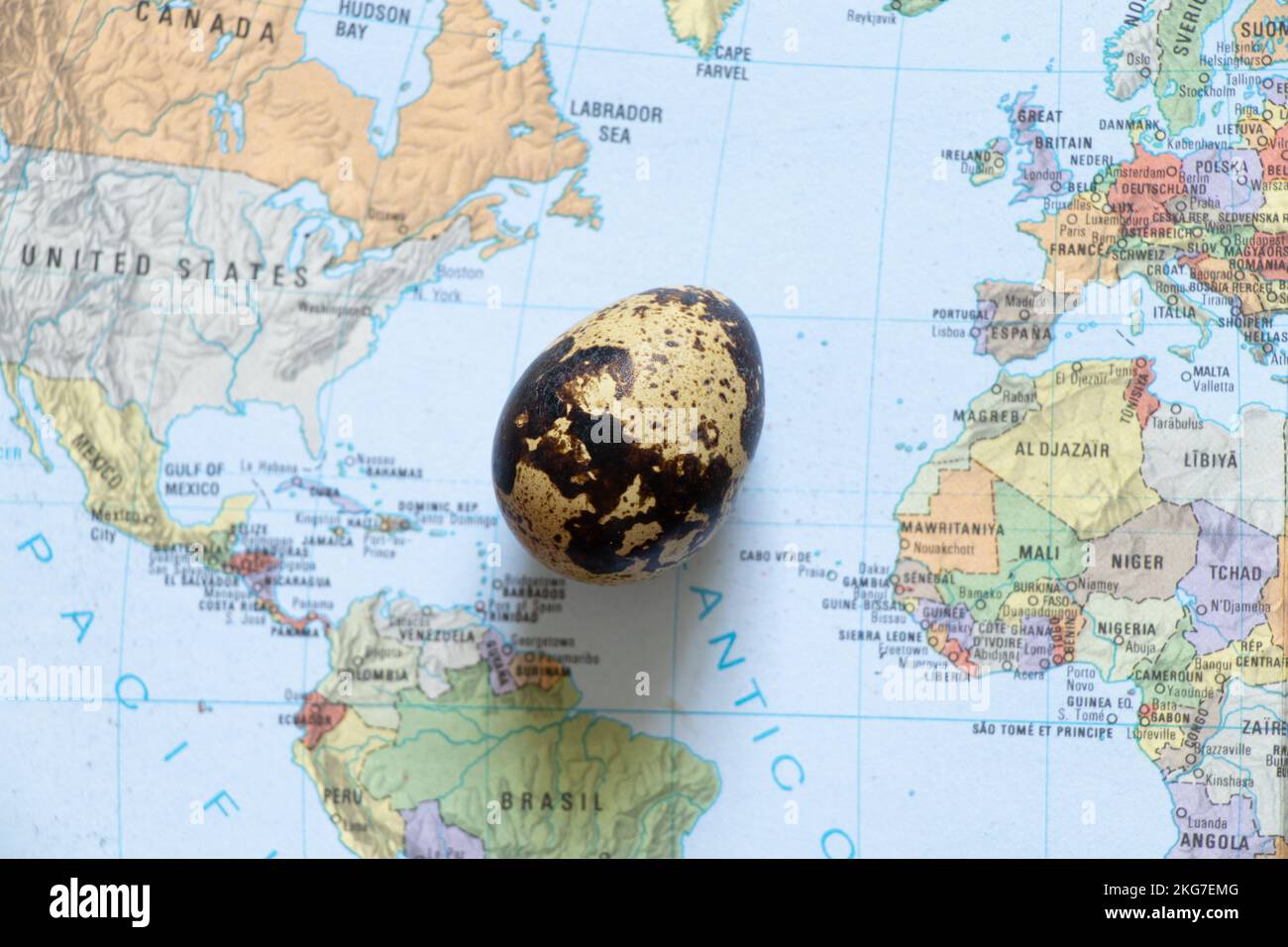 one quail egg lies on the world map, egg Stock Photo