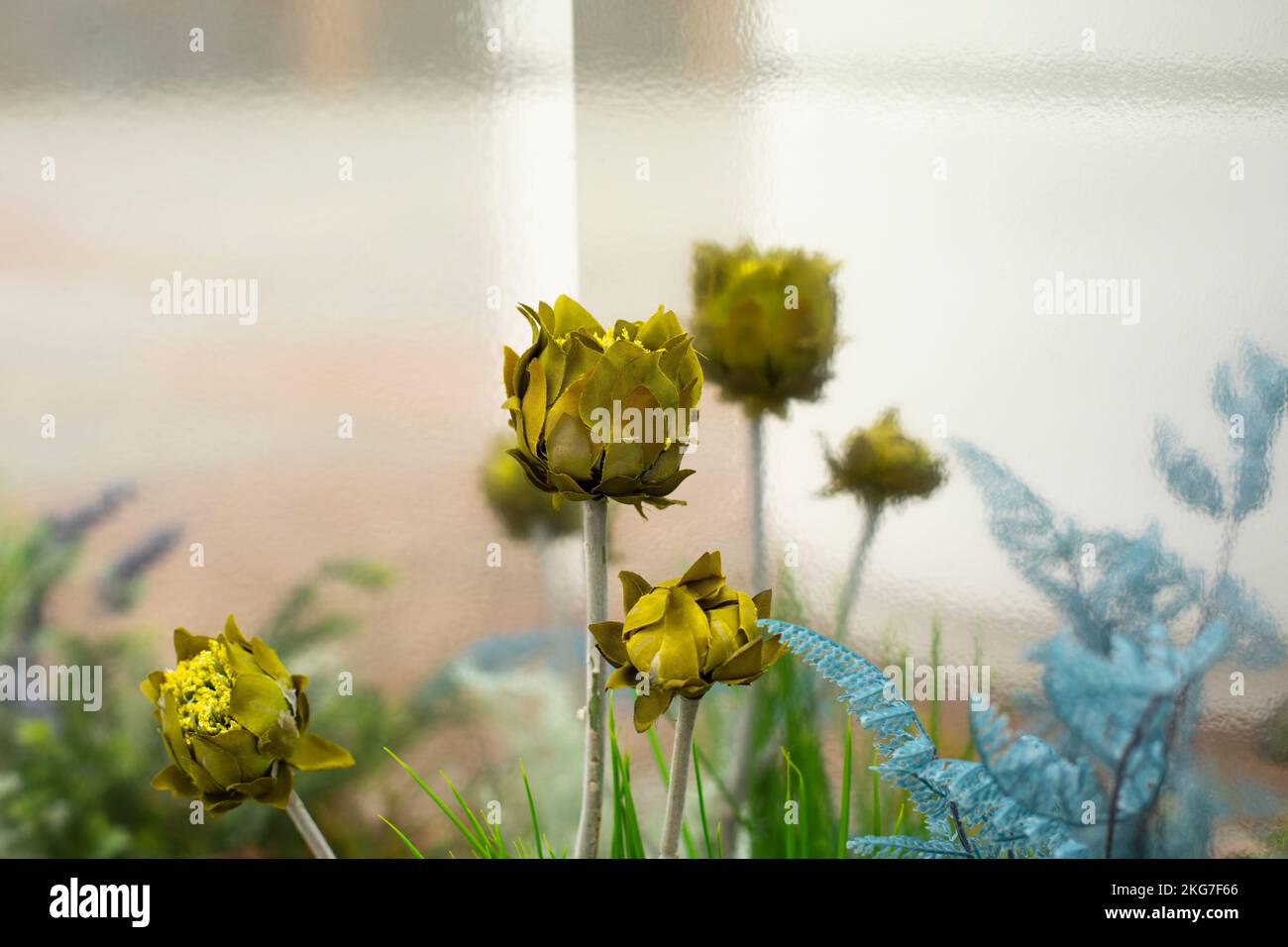 Plant in park. Green stem. Beautiful flower bed. Unusual combination of