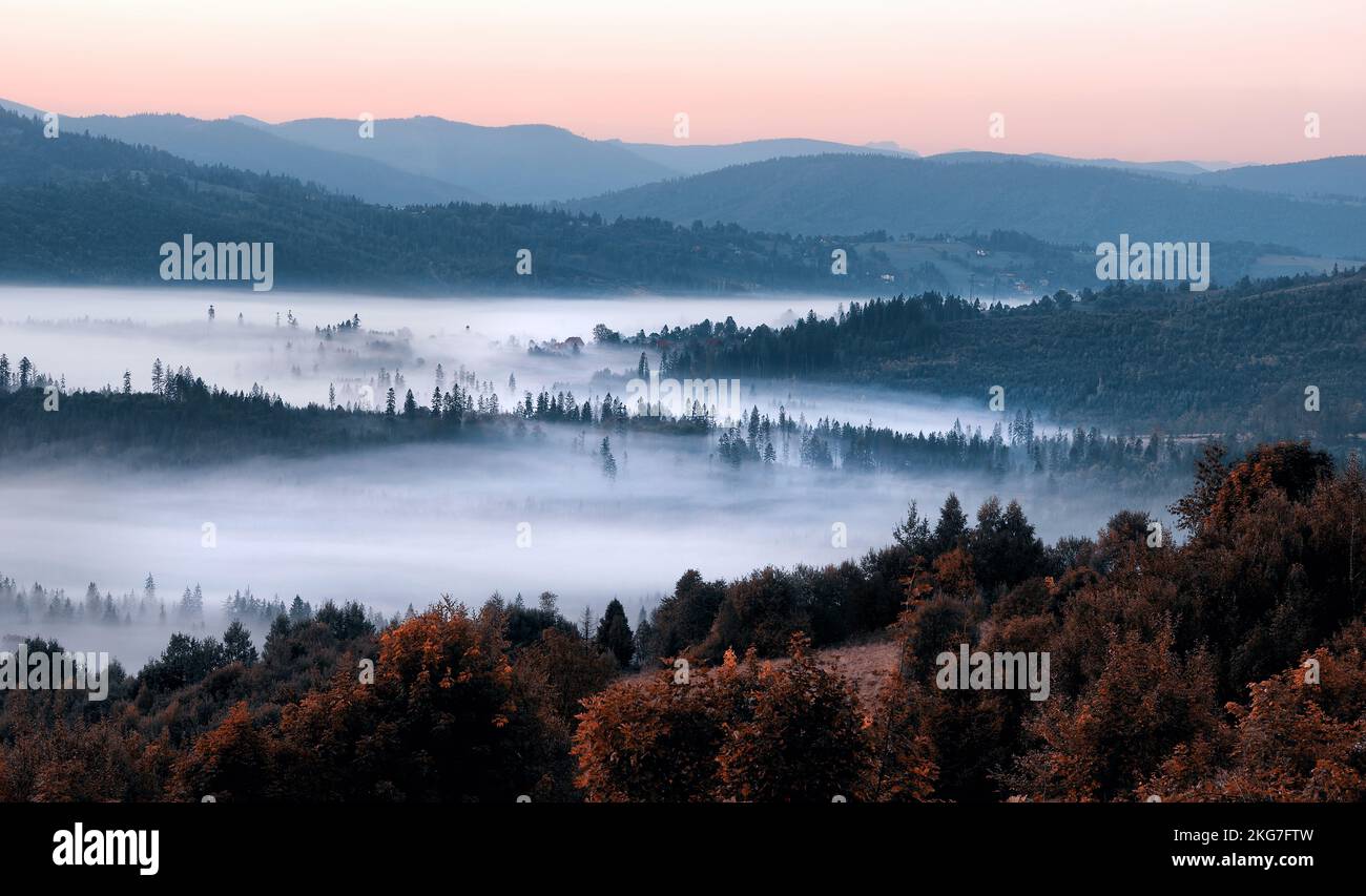 Misty landscape with trees Stock Photo - Alamy