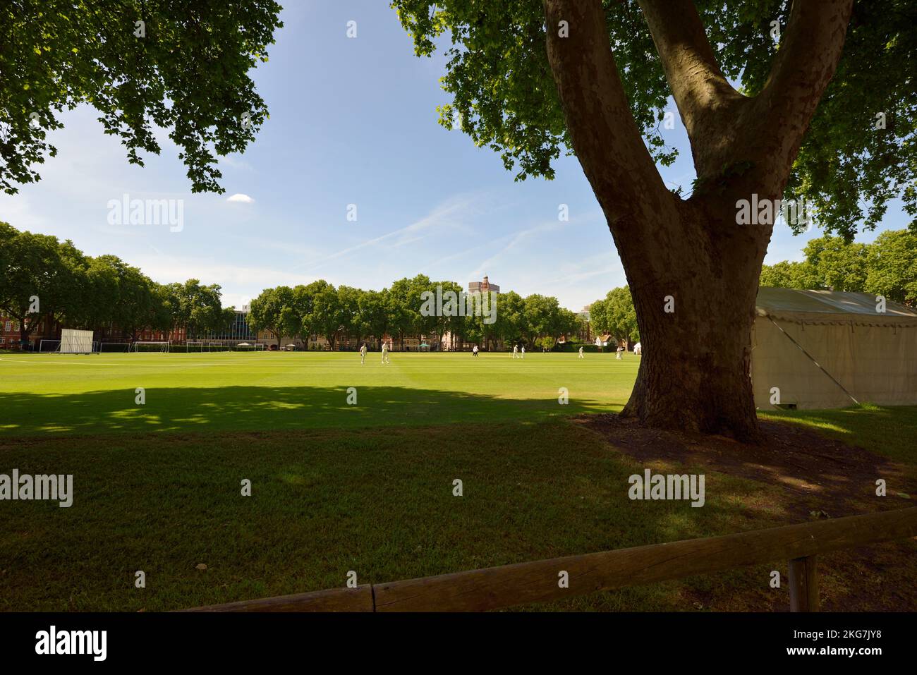Cricketing on Westminster School Playing Grounds, Vincent Square, Westminster, West London, United Kingdom Stock Photo