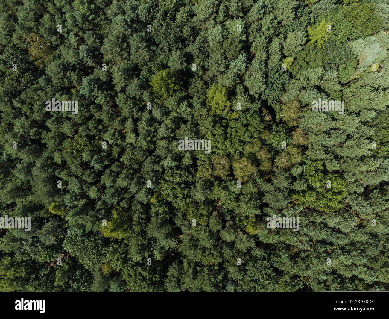 Aerial drone view lush green hi-res stock photography and images - Alamy