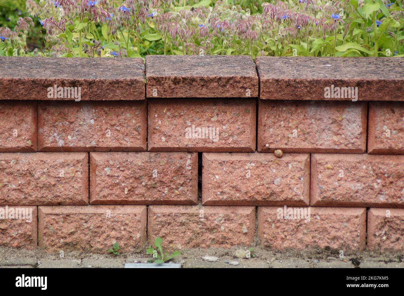 small wall as the property line Stock Photo Alamy