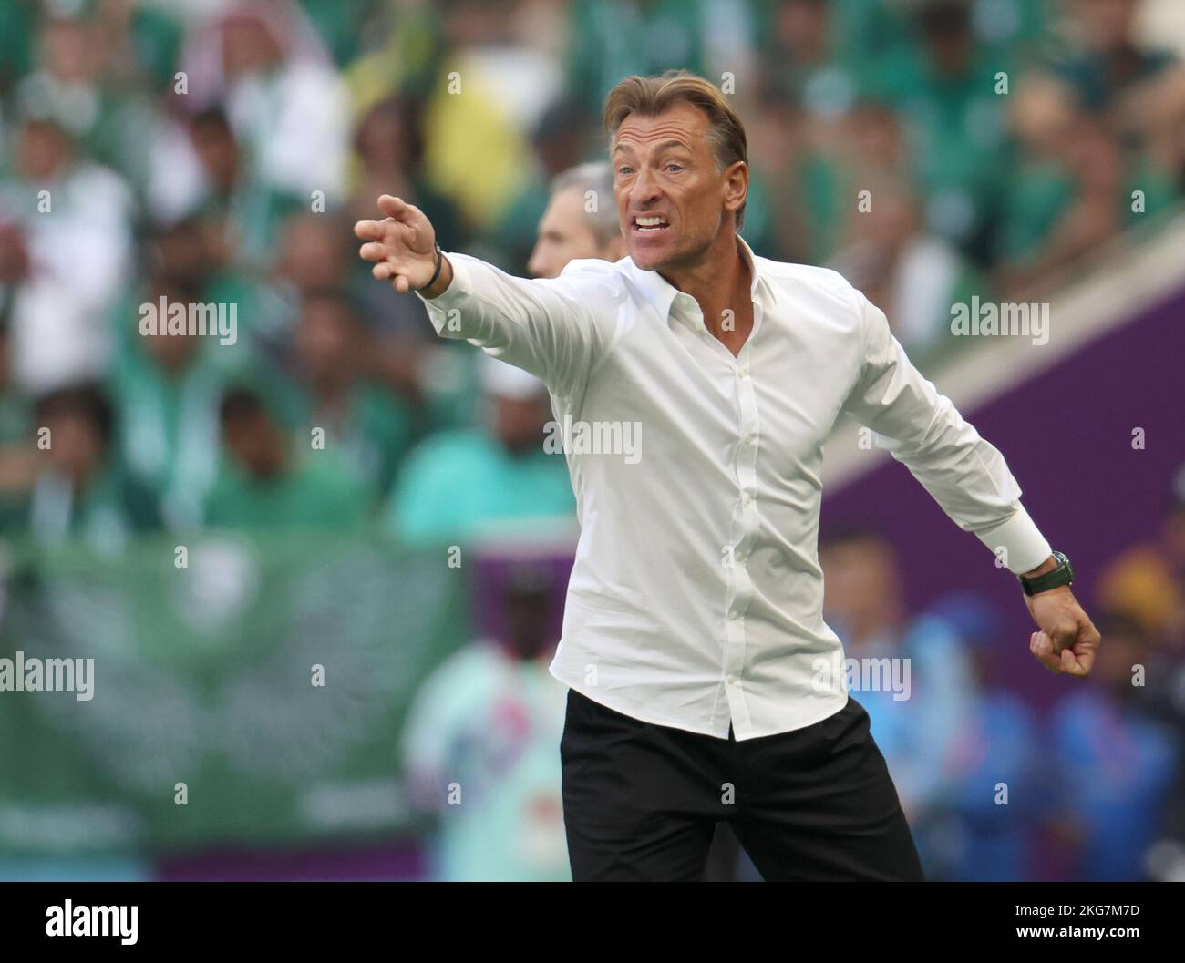 Herve renard argentina 2022 hi-res stock photography and images - Alamy