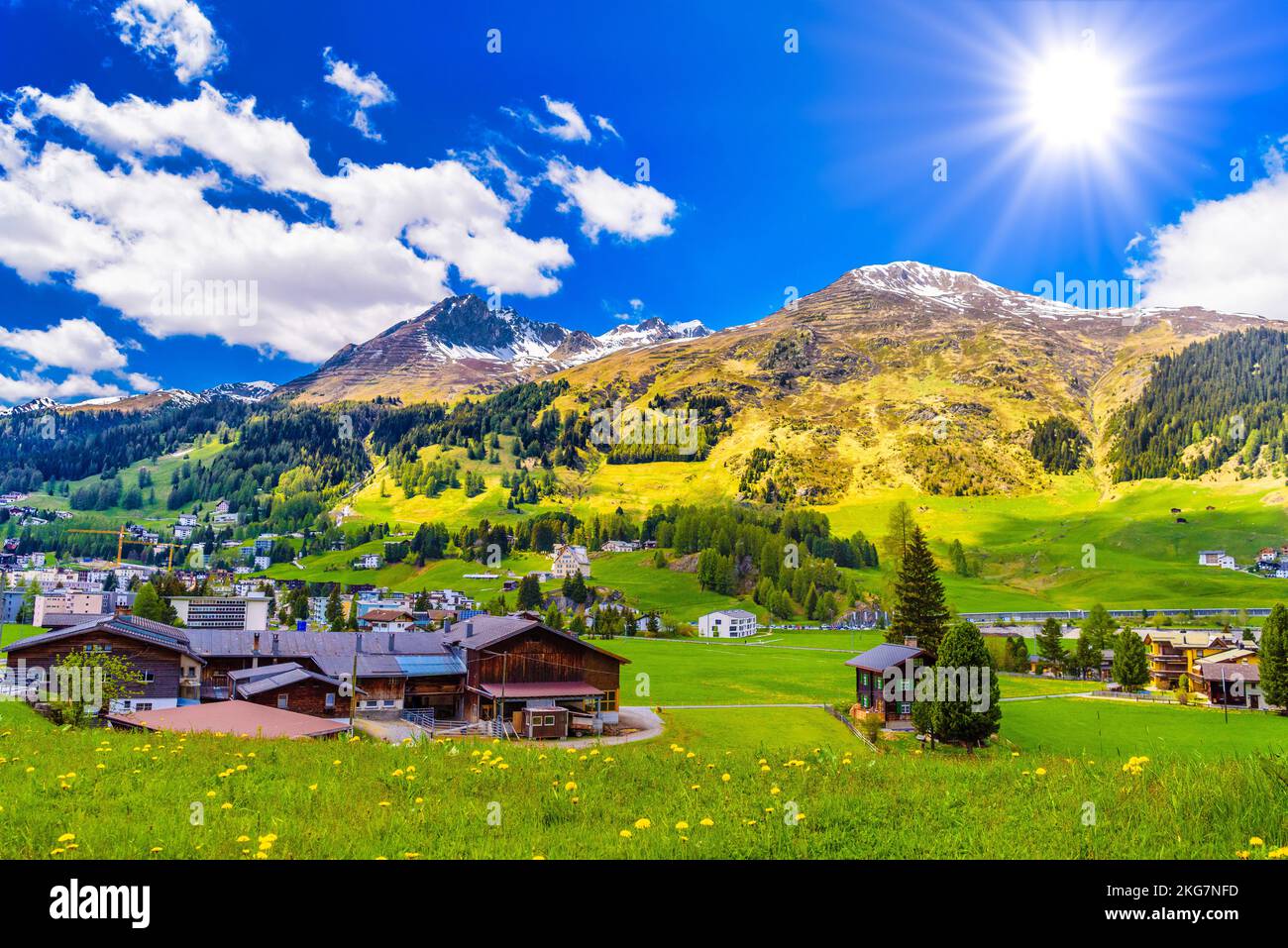 Wooden cottage houses on green fields, Davos, Graubuenden, Switzerland