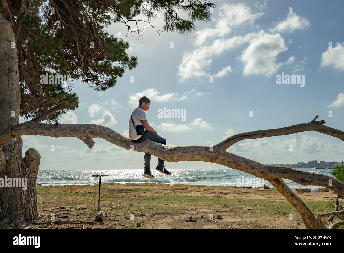 teenager climbing a tree against the blue sky in front of the sea Stock Photo