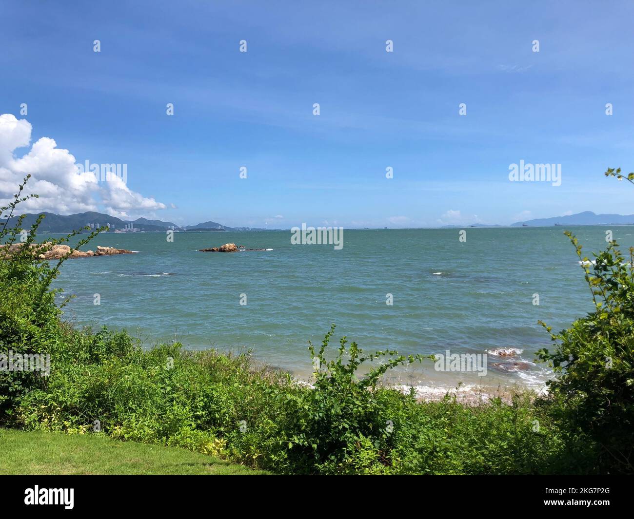 A beautiful scenery of the sea with greenery in the foreground Stock ...