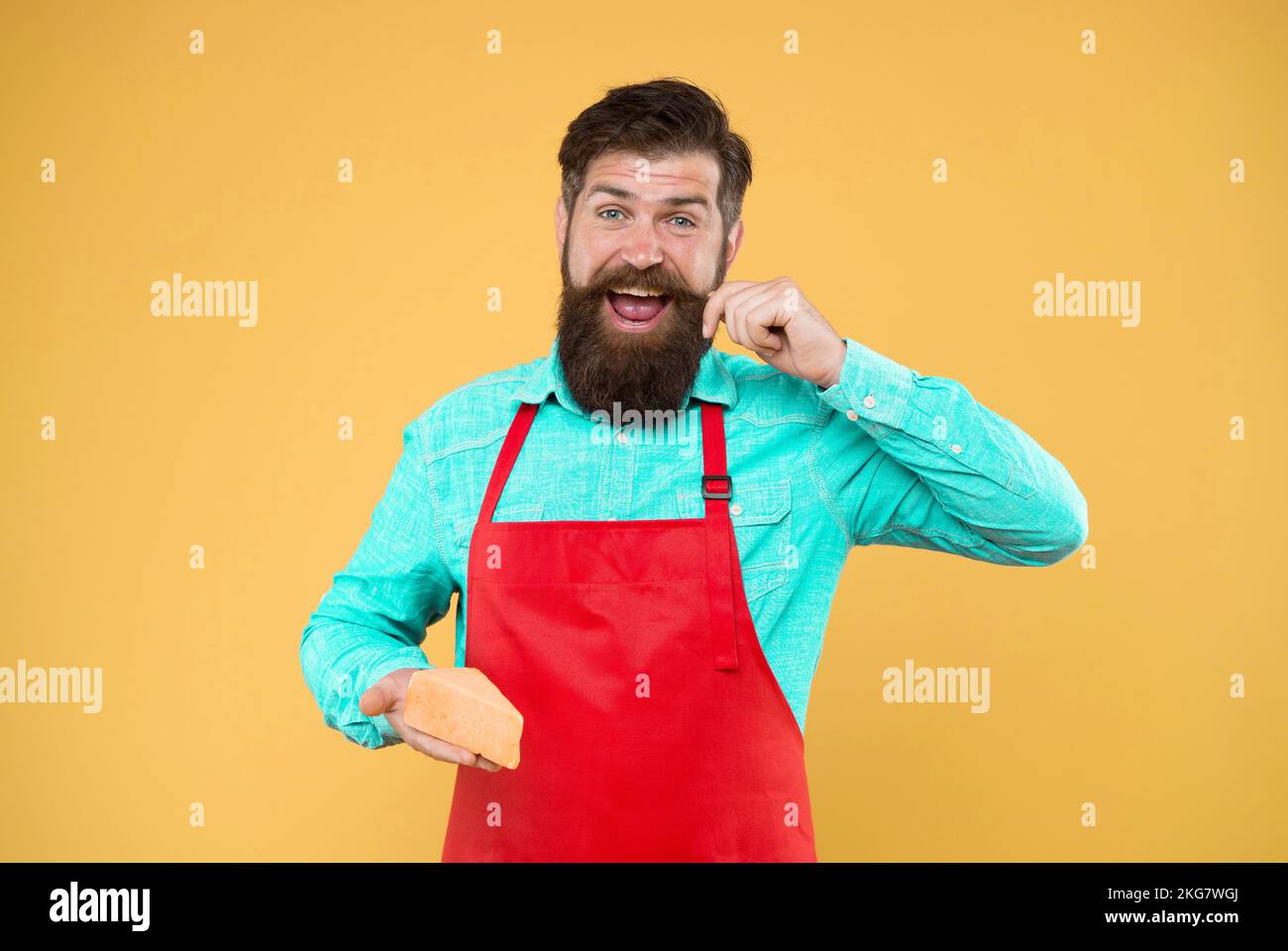 Gourmet product. Cheesemaking concept. Cheese maker. Bearded man in