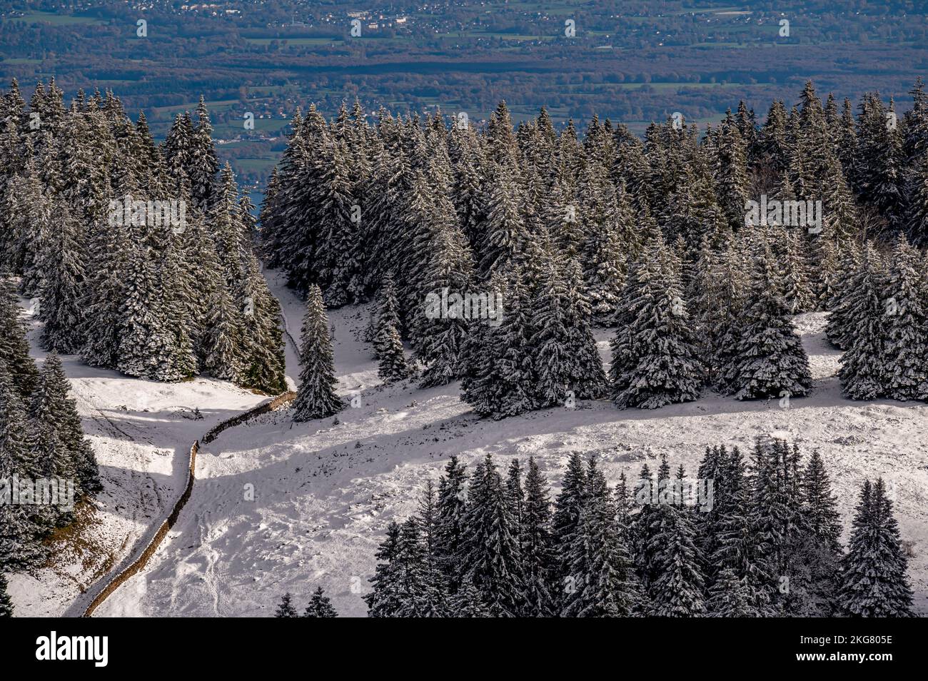landscape with snow covered trees. La Dôle, Vaud Canton, Switzerland. Stock Photo