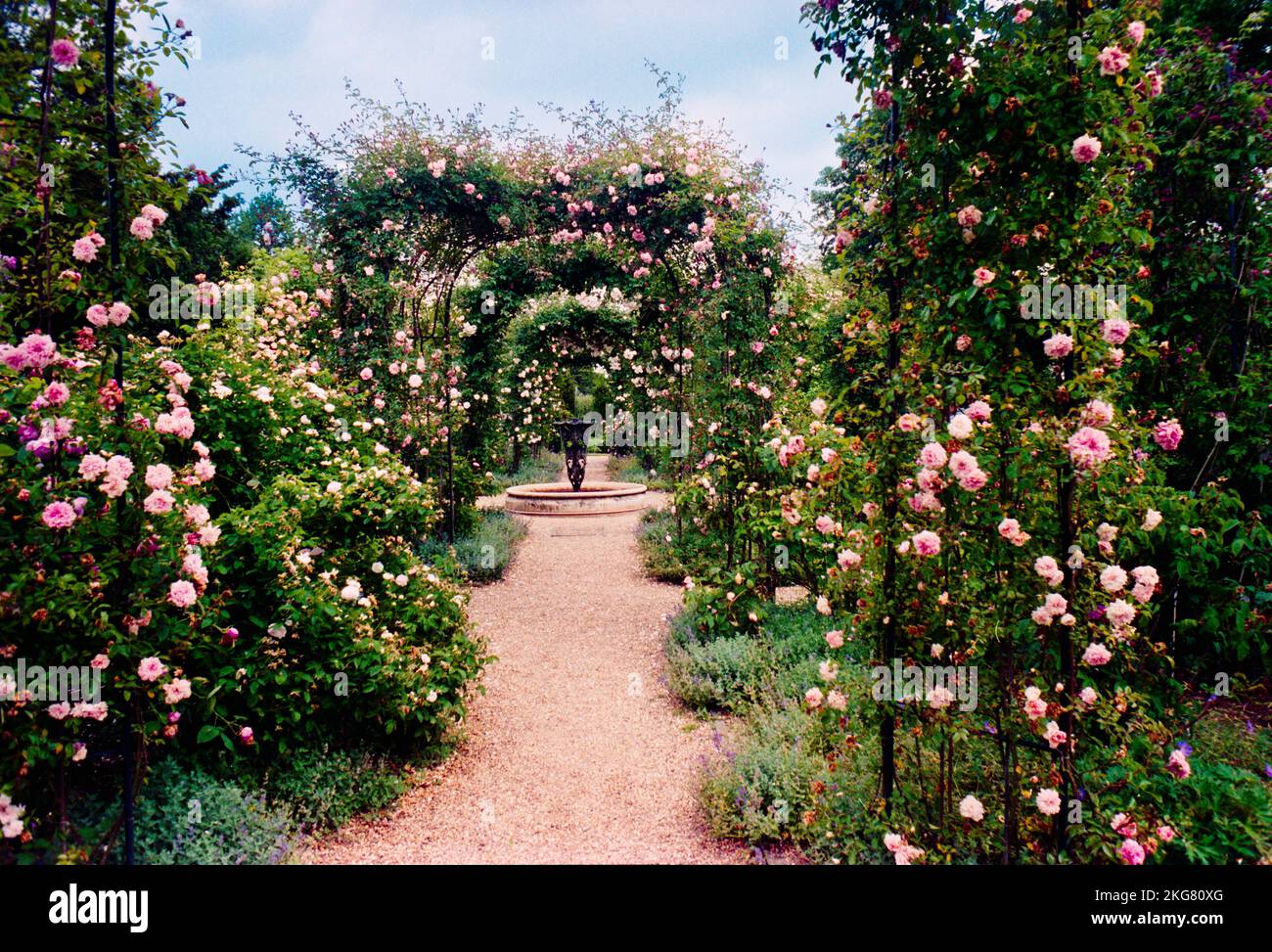 Nymans Gardens In West Sussex. A National Trust Property, Shot On Film 