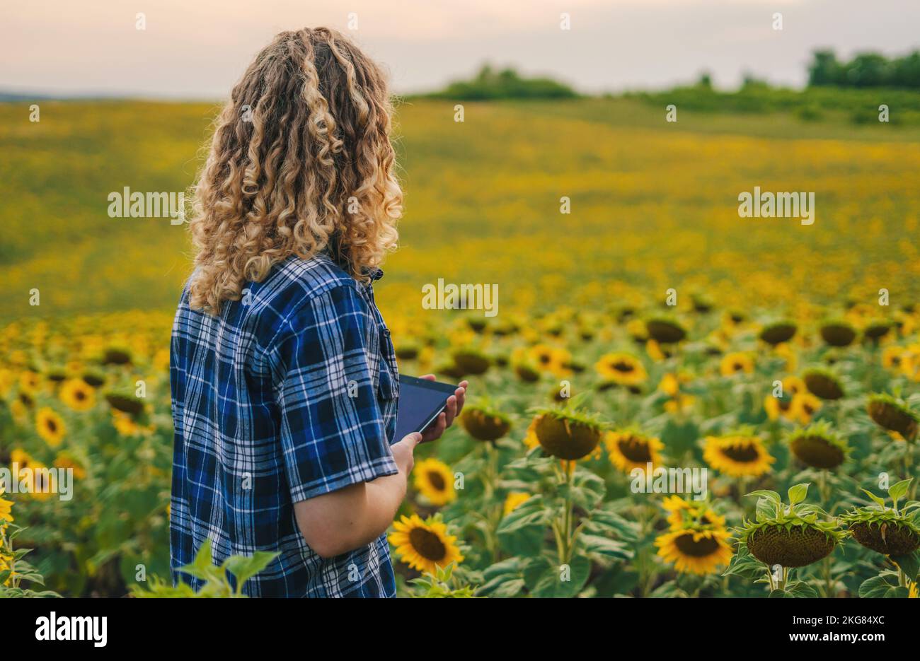 Side view of a young female farmer standing in the middle of a ...