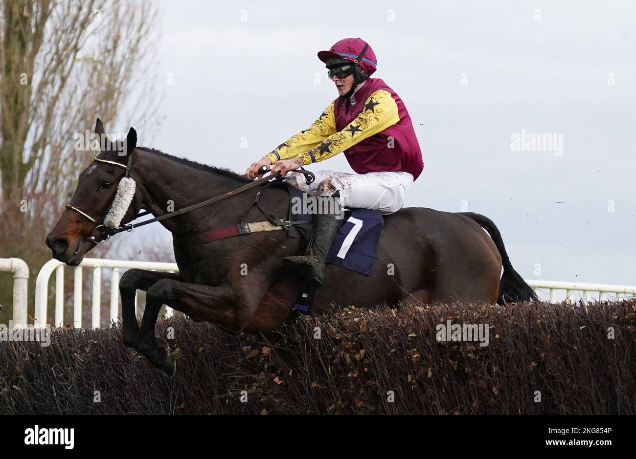 Moroval Moroval ridden by James Turner goes on to win The Paul Hart ...