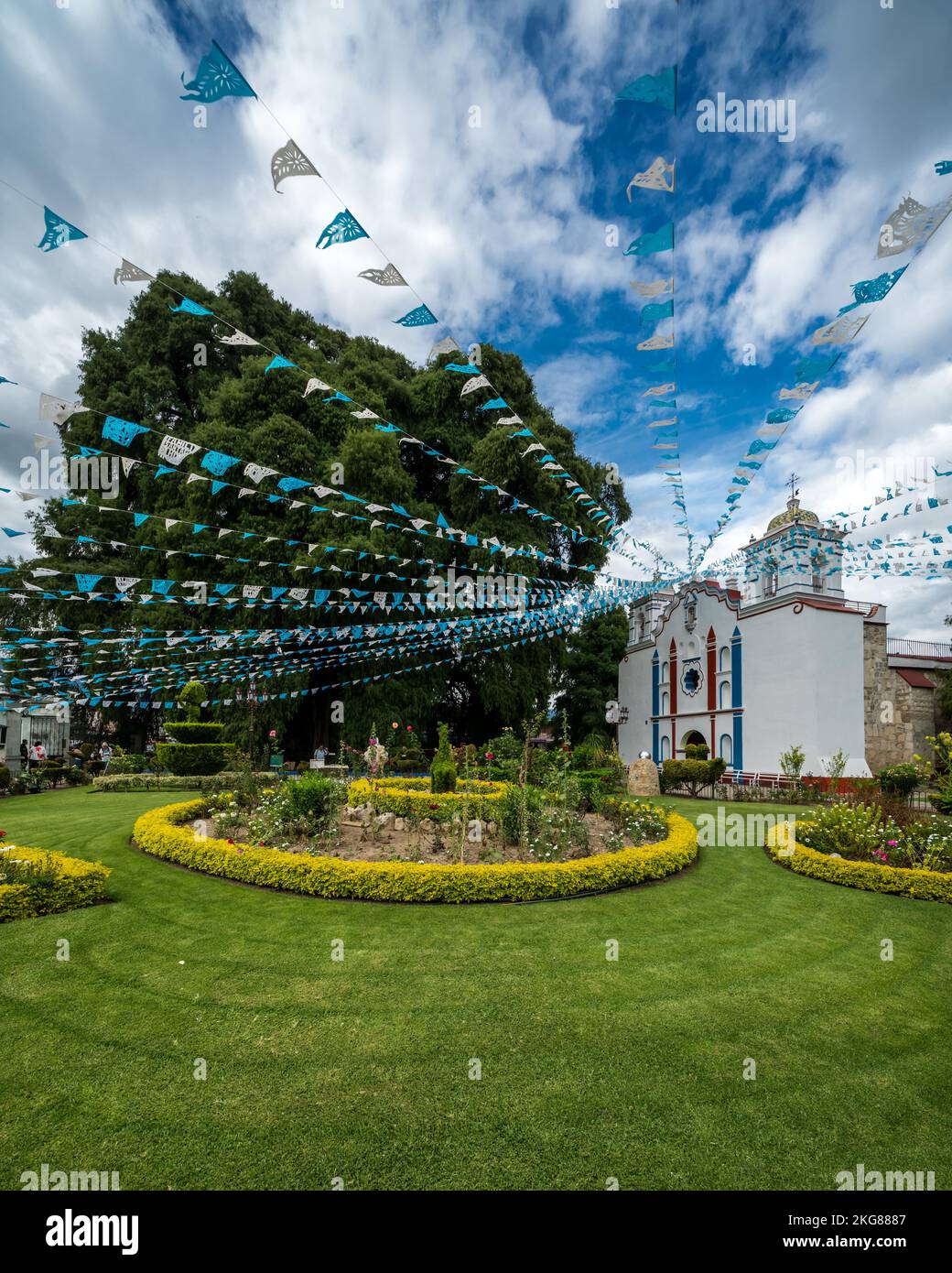 The Tree of Tule, left, & Temple of the Virgin Mary of the Assumption in Santa Maria del Tule in the Central Valley of Oaxaca, Mexico.  Accoding to th Stock Photo