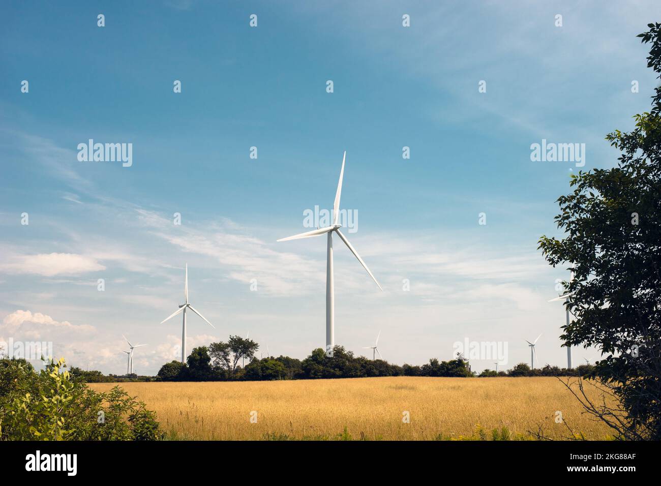 Wind turbines generate electricity on Wolfe Island, Ontario Stock Photo