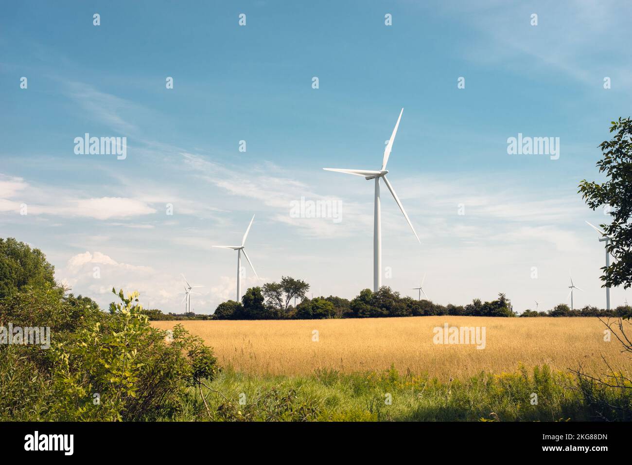 Wind turbines generate electricity on Wolfe Island, Ontario Stock Photo
