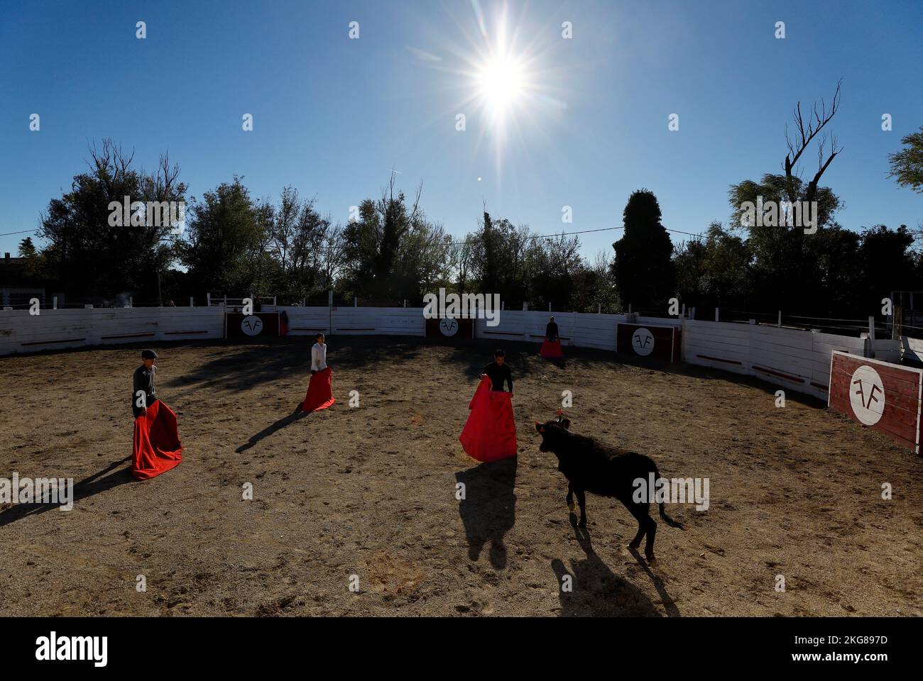 French toreador apprentices of the Arles bullfighting school perform during a bullfight show at the Monumental de Gimeaux arena in Arles, France, November 20, 2022.  REUTERS/Eric Gaillard Stock Photo